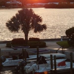 Meet your Posher, Steve